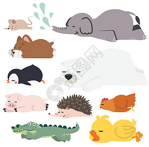 收集睡觉的可爱漫画动物乐趣纺织品孩子打印插图苗圃墙纸森林艺术睡眠背景图片