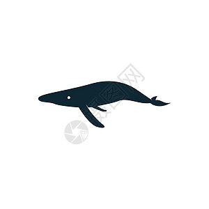 Whale 图标徽标标识插图模板矢量野生动物艺术绘画海洋卡通片荒野尾巴座头鲸动物蓝色图片