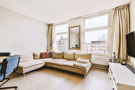 具有休息室和餐饮区的宽敞现代房间风格地面装饰家具桌子植物住宅沙发软垫长椅图片