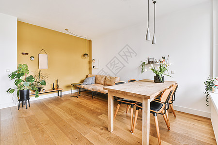 配软家具的现代客厅软垫风格财产地面扶手椅小地毯住宿地毯枕头天花板图片