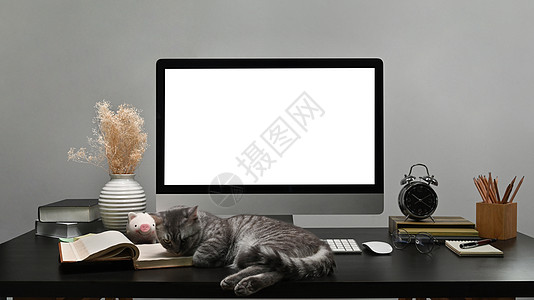 猫桌面前面的电脑有白色空屏幕 还有睡在黑桌上的可爱猫咪背景