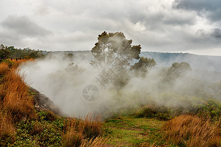 夏威夷大岛迷雾山脉景观 Mauna Kea 的风景 这是偏远地区的休眠火山 有复制空间 火山地山顶附近广阔的雾蒙蒙的自然和蓝天图片