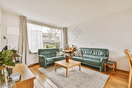 具有休息室和餐饮区的宽敞现代房间沙发饭厅桌子电视装饰家具房子植物软垫座位图片