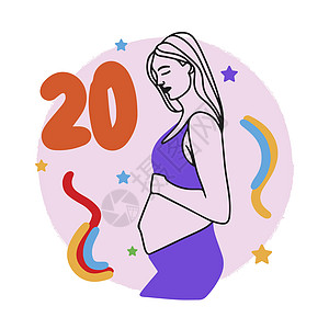 怀孕期 数周 怀孕女孩 大肚子 孕妇 面粉日历卡通片母亲胎儿母性身体学期生活分娩考试图片