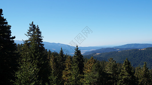 山地景观背景下的隐形森林 在山区地貌背景之下图片