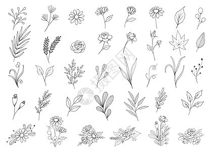 野花植物收集 个人和安排的花卉短片矢量插图 以图示图片