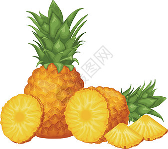 菠萝 菠萝切成片的图像 成熟的菠萝片断 甜热带水果 矢量图食物异国植物甜点果汁叶子营养情调树叶热带图片