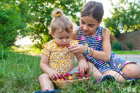 孩子在花园里吃浆果 有选择的焦点孩子们场地生物女孩家庭横幅覆盆子水果微笑收成图片