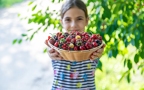 孩子在花园里吃浆果 有选择的焦点篮子水果童年太阳食物采摘女孩横幅婴儿孩子们图片