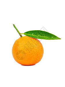 水果橘子蔬菜热带黄色食品叶子饮料白色皮肤工作室绿色图片