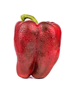红胡椒辣椒白色植物水果红色宏观绿色香料蔬菜图片