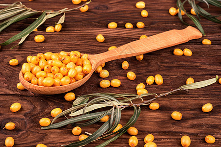 勺子里的巴克松浆果黄色橙子宏观药品草本植物草本沙棘团体植物季节图片