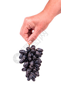 手握黑葡萄白色食物水果黑色蔬菜甜点女士藤蔓肉质蓝色图片