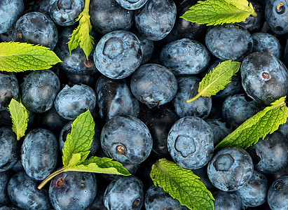新的背景蓝莓团体荒野浆果健康小吃甜点营养食物水果饮食图片