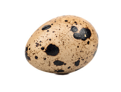 Quail 鸡蛋动物斑点健康熟食蛋壳鹧鸪产品早餐白色棕色图片