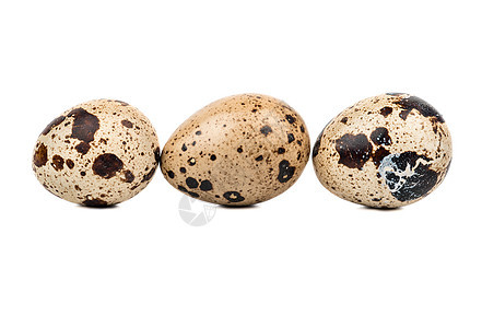三个蛋营养鹧鸪熟食棕色食物动物白色宏观产品蛋壳图片