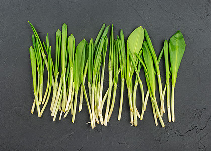 新鲜野大蒜香料高架产品蔬菜植物厨房芳香药品草本植物食物图片