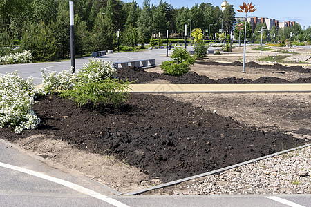 城市公园的景观美化 城市改善种植花坛花园街道基础设施树苗植物建筑学季节地面图片