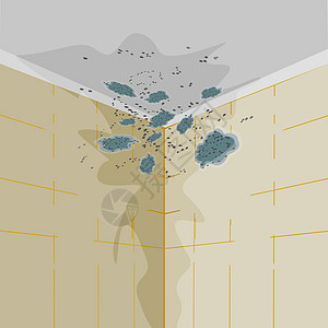 墙壁和天花板上的铸造物 在浴室或客厅的墙上磨造物图片