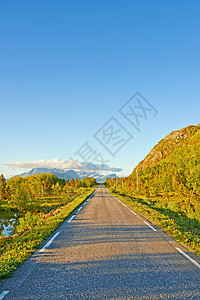 夏季 通往田园诗般僻静区域的道路和绿色植被景观 大绿树环绕着乡村的一条空荡荡的街道 绿化景观只有一条具体的道路领导旅行公园农村绿图片