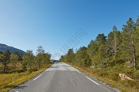一条空荡荡的道路 四周环绕着清澈的蓝天和复制空间的树木 沿着挪威美丽的风景森林行驶 拥有一条笔直的乡村沥青道路图片