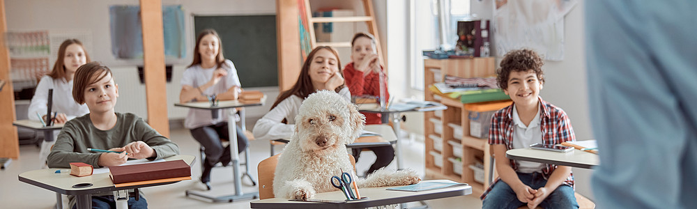 在小学上课时快乐的混合儿童学生 中间有一只狗图片
