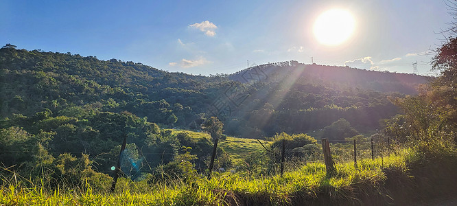 牛分解图巴西农村的农场地貌景观图 6旅行日落栅栏场地叶子风景企业晴天森林风光背景