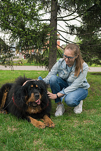 快乐的女子与提贝塔人长袍一起行走公园拥抱成人朋友乐趣犬类闲暇微笑女性快乐图片