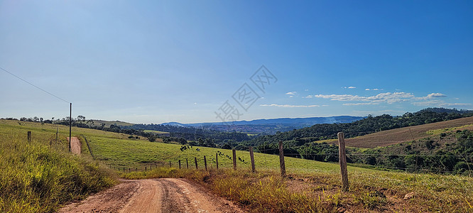 巴西农村的农场地貌景观图 6阳光衬套山脉栅栏财产风光企业农业奶牛动物背景图片