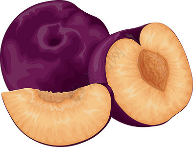 李子 成熟的紫李子 新鲜的甜李子 成熟多汁的李子浆果部分 素食有机产品 在白色背景上孤立的矢量图食物果汁甜点蓝色收成营养紫色水果图片
