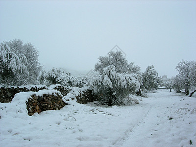 冬日的雪地风景历史性旅行运动森林村庄大风蓝色薄片太阳旅游图片