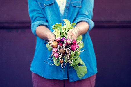 女人拿着新鲜的萝卜植物乡村园丁园艺农场叶子牛仔裤蔬菜农民花园图片