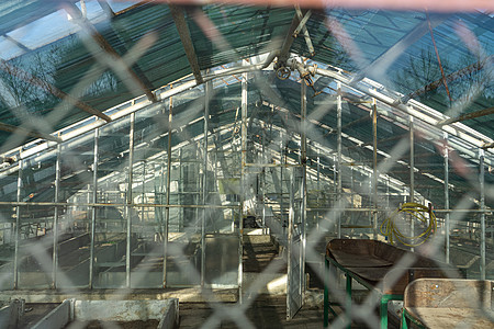 拉比兹 旧的废弃温室 在连锁围栏后面玻璃选择性兔子金属焦点废墟窗户图片