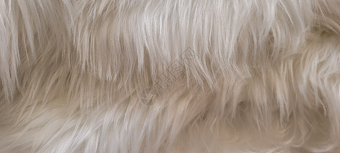 羊毛软软毛毯状纹理背景头发小地毯动物毛皮皮肤宏观外套材料柔软度毯子图片