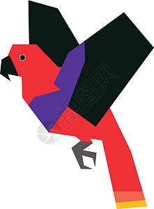 一种鸟类物种的多姿多彩的微小例子绘画动物鹦鹉翅膀义者羽毛插图图片