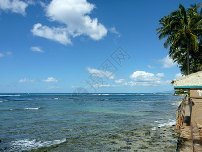 混凝土路 有金属铁轨沿悬崖岸绕行 在Waikiki浅水边头顶上带有椰子树图片
