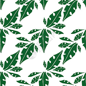 热带树叶的无缝模式 夏季服装面料 墙纸 包装的背景 白色背景上的绿叶图片