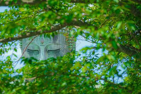 夏初的法兰西卡马库拉景点旅游叶子佛像建筑石像国家植物高德宝藏图片