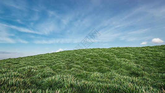 3D 提供插图园艺场地城市公园薄雾土地场景顶峰天空植物图片