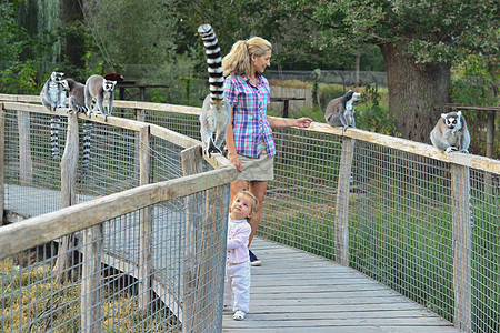 母亲和女儿在动物园玩狐猴图片