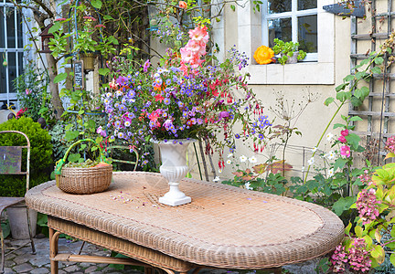 花瓶中的夏花花束篮子雏菊植物群三叶草窗户向日葵边界礼物香水橙子图片