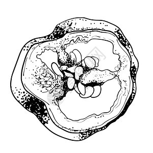 绘制切成环状的辣椒 甜椒素描 用于设计的黑白绘图 有机蔬菜 素描的蔬菜 雕刻风格插图 矢量图绘画艺术草图植物手绘食物美食卡通片香图片