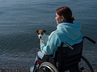 白种女人坐在轮椅上 和一只狗在海上女孩女性动物幸福娱乐友谊自由椅子闲暇卵石图片
