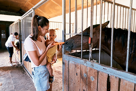 妈妈带着一个带胡萝卜的小女孩在围场的农场里喂马图片