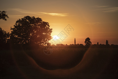 橙色日落风景阳光植物天空橙子农场地平线蓝色旅行农业环境图片