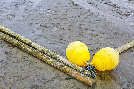 Wadden海潮地海岸 泥沙流水 德国图片