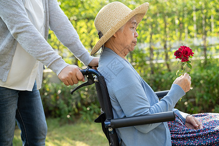 帮助在公园轮椅上拿着红玫瑰的亚洲老人或老年老太婆妇女红玫瑰护士海报失智女士病人玫瑰退休医院车轮护理图片