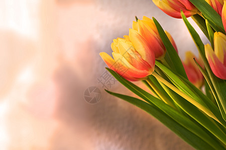 Copyspace 与橙色和黄色的郁金香 一束美丽花朵的特写镜头 花瓣充满活力 茎干呈绿色 花香盛开的花束象征着情人节的希望和爱图片