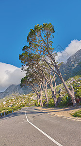 山间乡村公路蜿蜒穿过风景秀丽的岩石山 山上的街道有绿树和多云的蓝天复制空间 在开普敦旅行或远足的自然路径图片