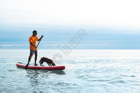 夏天在海面上站着一只狗 在沙滩上玩滑板的人笑声平衡运动冲浪冲浪板乐趣太阳成人木板海洋图片